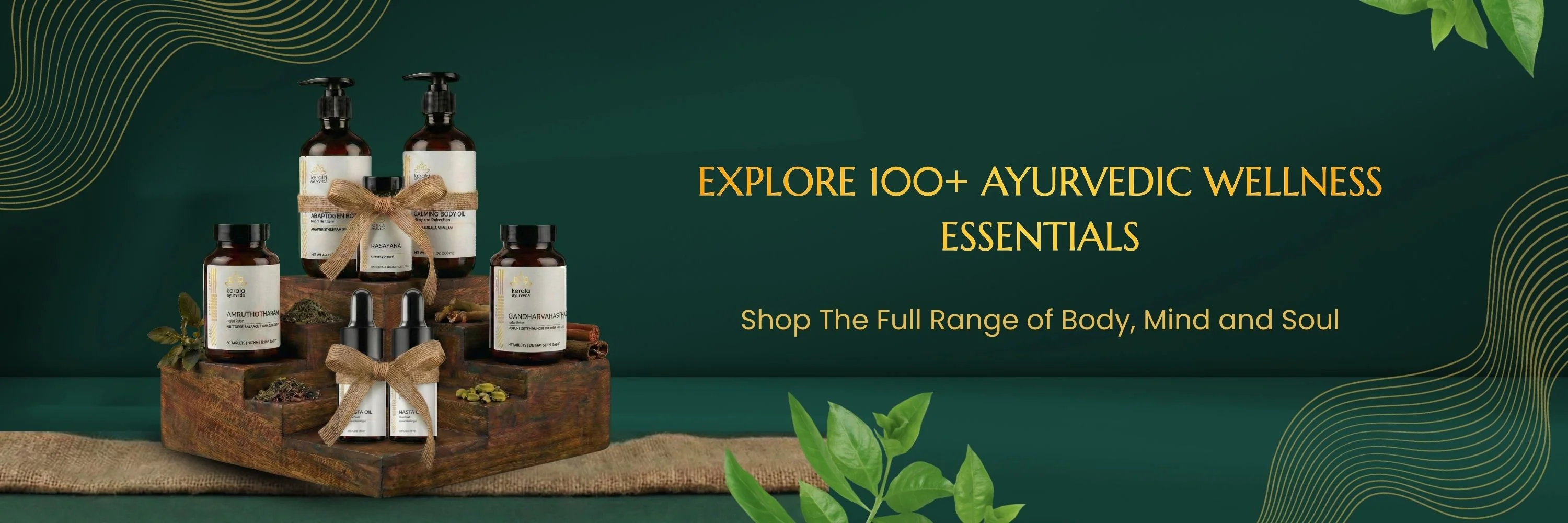 Timeless Elegance, Rooted in Tradition